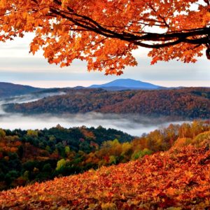 Autumn Image