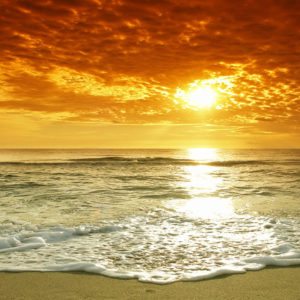 Summer Image