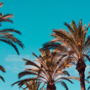 Caribbean Image